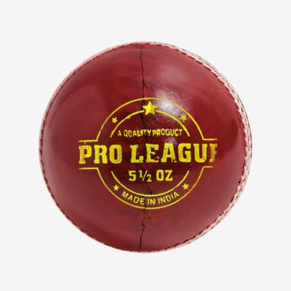 Pro League Leather Ball