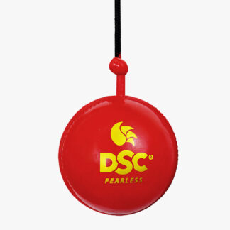 Hanging Synthetic Ball (6 Balls)