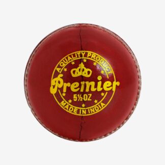 Premier Leather Ball